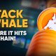 Whale.io Accelerating Towards TGE – Unveils “Wager & Earn” Campaign and Launches WHALE Token Conversion