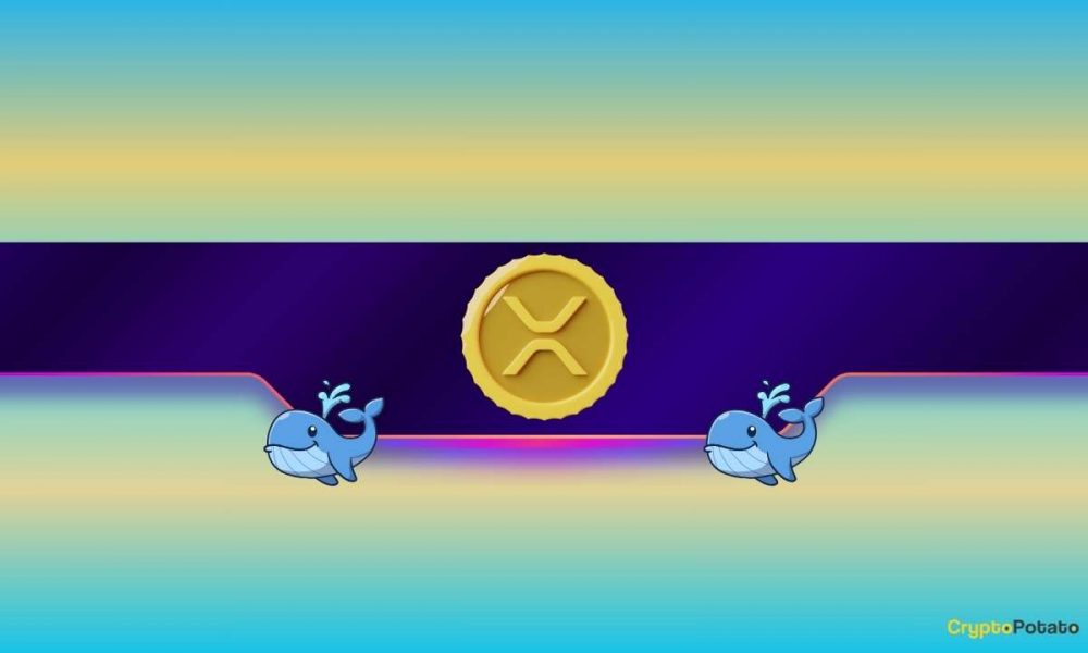 What Does it Mean for Ripple's Price?