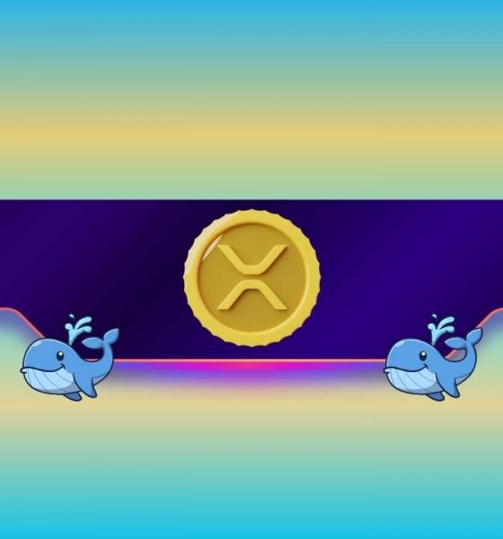 What Does it Mean for Ripple's Price?