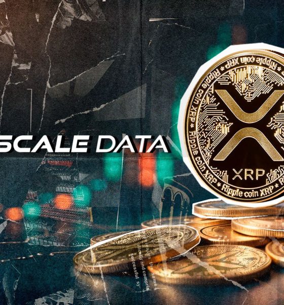 XRP Lands Its First $10 Million Corporate Acquisition: Details