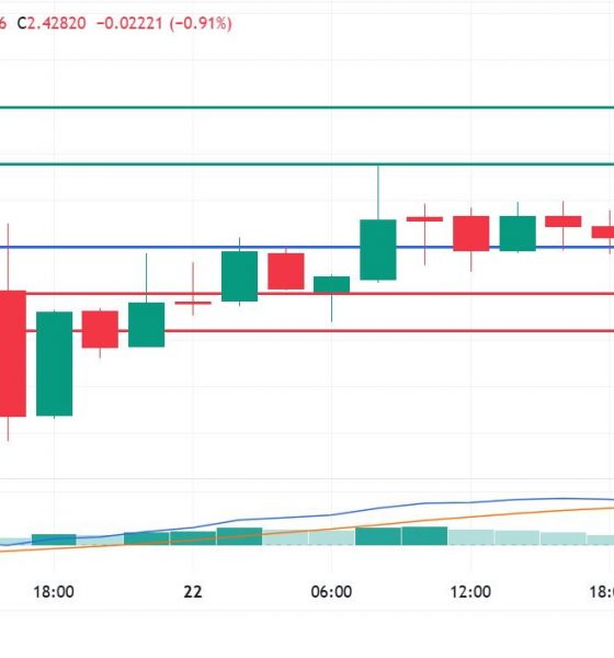XRP Price Up Again, But Here's Why It Will Struggle to Break Above $2.50