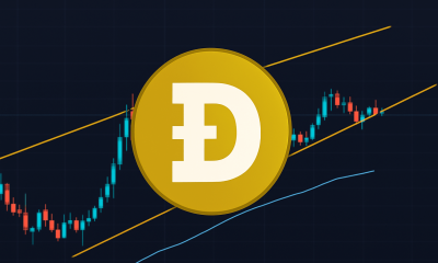 Will Dogecoin Moon Or Crash? This Indicator Holds The Answer