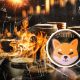 550,878,483 SHIB Burned This Time, but Here's Big Nuance