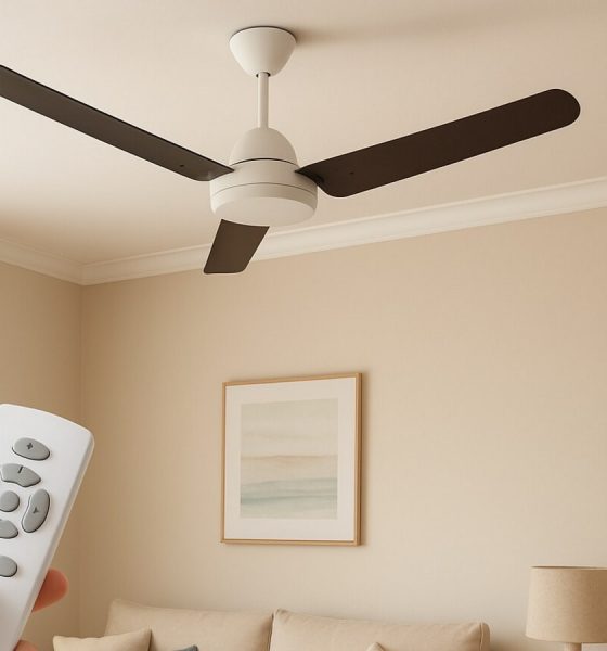 Best remote controlled fans for bedrooms, living rooms, and large spaces: Top 10 picks for every room