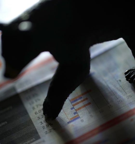 Bitcoin Leveraged Traders Are Back Betting On A Price Decline — What This Means