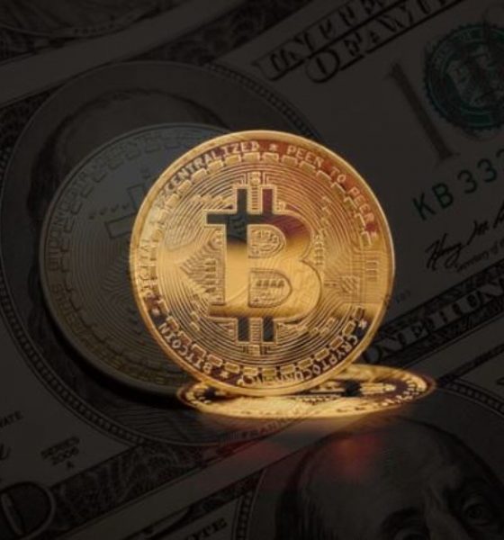 Bitcoin Price Back Above $106K, As Whale Transactions Swell Up