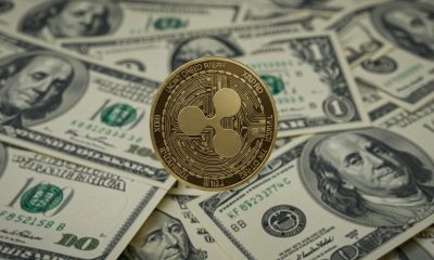 Bulls Hold $130B Market Cap as Settlement Buzz Heats Up
