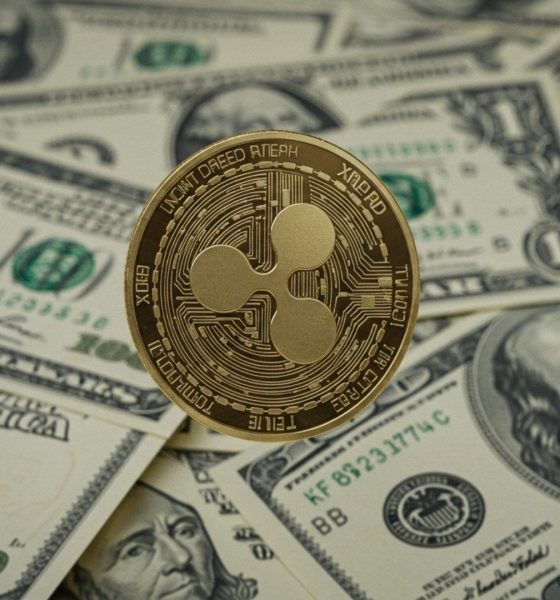 Bulls Hold $130B Market Cap as Settlement Buzz Heats Up