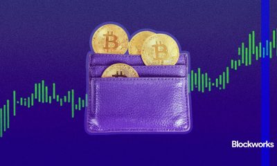 Can the rise in crypto treasury companies spark an alt season?