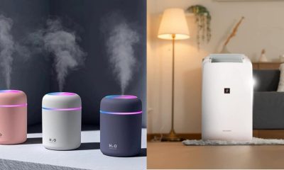 Humidifier vs Dehumidifier: Choosing the right one for comfortable summers based on features, requirements and weather