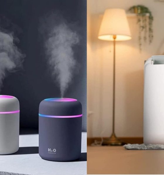 Humidifier vs Dehumidifier: Choosing the right one for comfortable summers based on features, requirements and weather