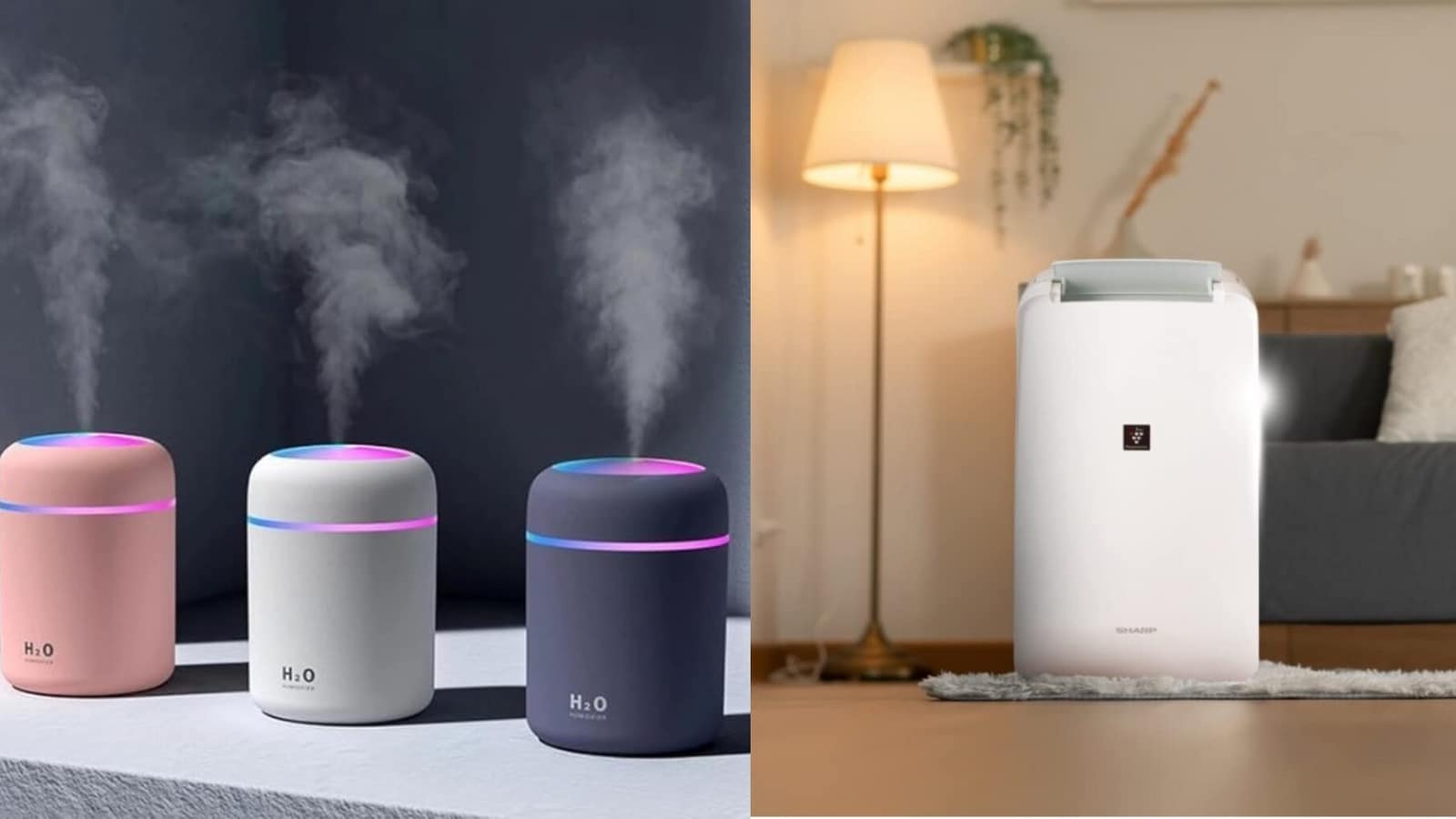 Humidifier vs Dehumidifier: Choosing the right one for comfortable summers based on features, requirements and weather