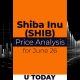 SHIB Price Prediction for June 26