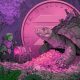 Solana Memecoin About To ‘Blast Through’ All-Time Highs, According to Veteran Crypto Trader
