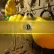Solo Miner Defies Odds After Mining Bitcoin Block Earning Over $330K