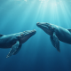Story (IP) surges after whales buy 16M tokens