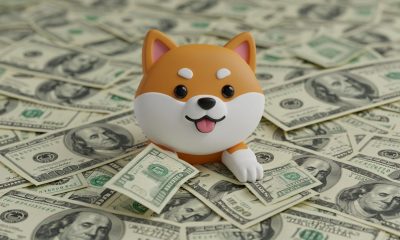 Why Is Shiba Inu (SHIB) Price Falling Today?