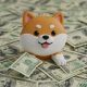Why Is Shiba Inu (SHIB) Price Falling Today?