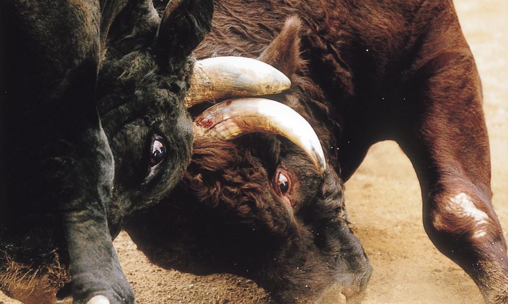 XRP Is Bitcoin’s Biggest Rival, Says Pundit