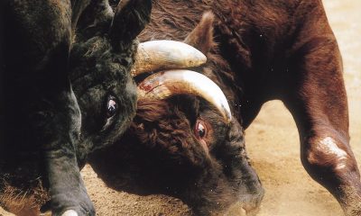 XRP Is Bitcoin’s Biggest Rival, Says Pundit