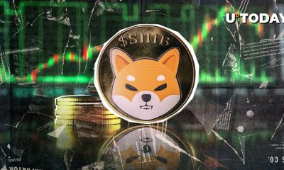 1,053,508,245 SHIB In One Week – Is This Good or Bad?
