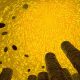 $12,950,000,000,000 Crypto Market Cap Incoming As Massive Euphoria Phase Unfolds, Predicts Economist Henrik Zeberg – Here’s His Outlook