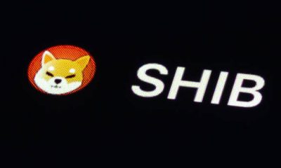 Shiba Inu