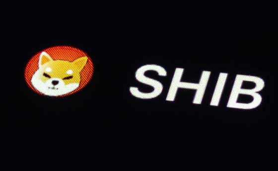 Shiba Inu