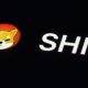 Shiba Inu