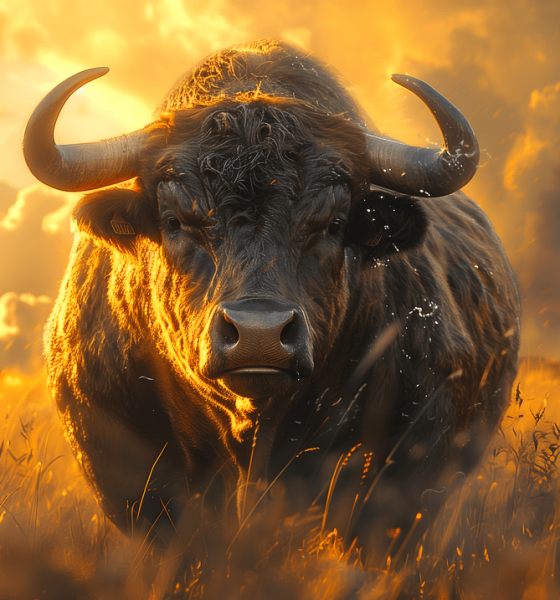 Analyst Shares Bitcoin Cheat Sheet Showing When The Bull Run Begins