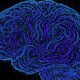 Are firms wasting their money on AI agents?