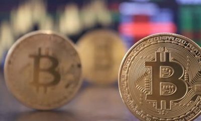 Bitcoin Bulls Gain Traction From Ideal Long Zone: 2 Scenarios For The Week Ahead