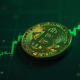 Bitcoin Cash Price