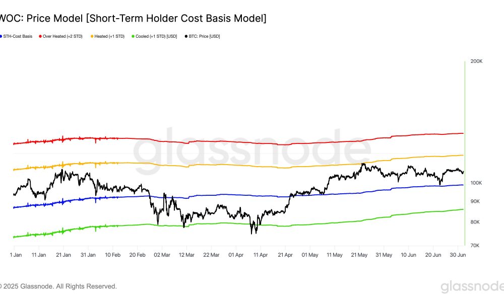 Bitcoin STH Cost Basis