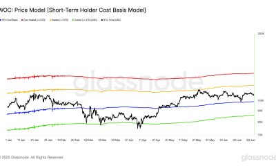 Bitcoin STH Cost Basis