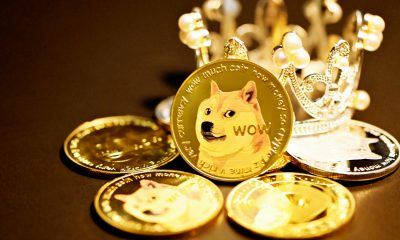 DOGE Bullish Pattern Points To $0.42 Target – Analyst