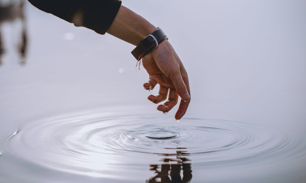 Don’t Hold Back—Expert Recommends Full Stake In XRP
