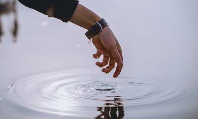 Don’t Hold Back—Expert Recommends Full Stake In XRP
