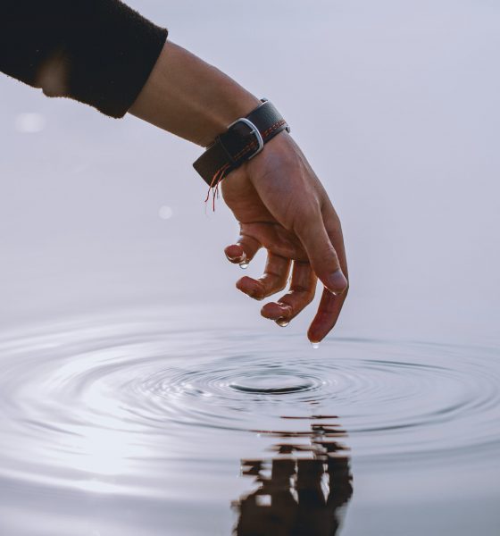 Don’t Hold Back—Expert Recommends Full Stake In XRP