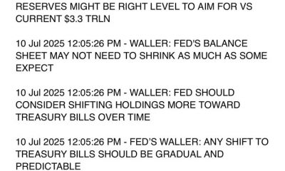 Fed’s Waller Says Stablecoins Are Simply a New Payments Tool