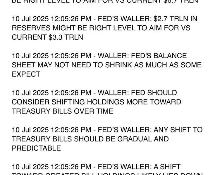 Fed’s Waller Says Stablecoins Are Simply a New Payments Tool