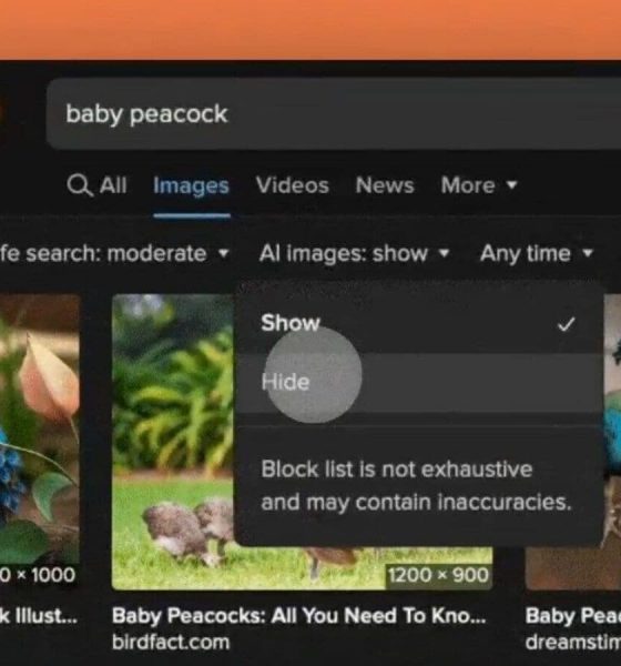 Not Google or Bing! This search engine lets you block AI images in search results