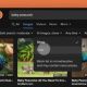 Not Google or Bing! This search engine lets you block AI images in search results