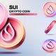 SUI