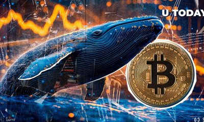 Satoshi-Era Bitcoin Whale Moves Another $2.42 Billion, What's Happening?