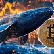 Satoshi-Era Bitcoin Whale Moves Another $2.42 Billion, What's Happening?