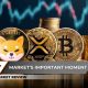 Shiba Inu (SHIB) Needs This Now, This Bitcoin (BTC) Signal Not Great, XRP: First Time in History?
