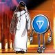 UAE Golden Visa Is ‘Being Developed Independently‘ — TON Foundation