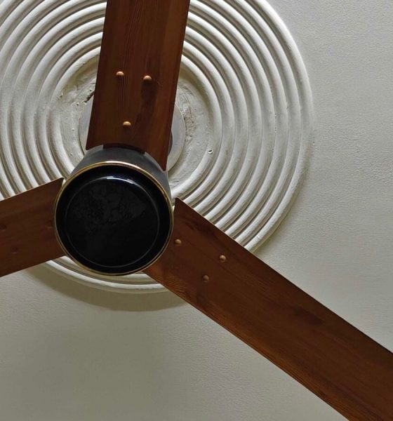 V Guard INSIGHT-G BLDC fan review: Cool performer with a premium look