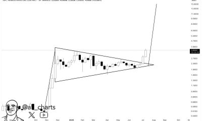 XRP Bull Pennant